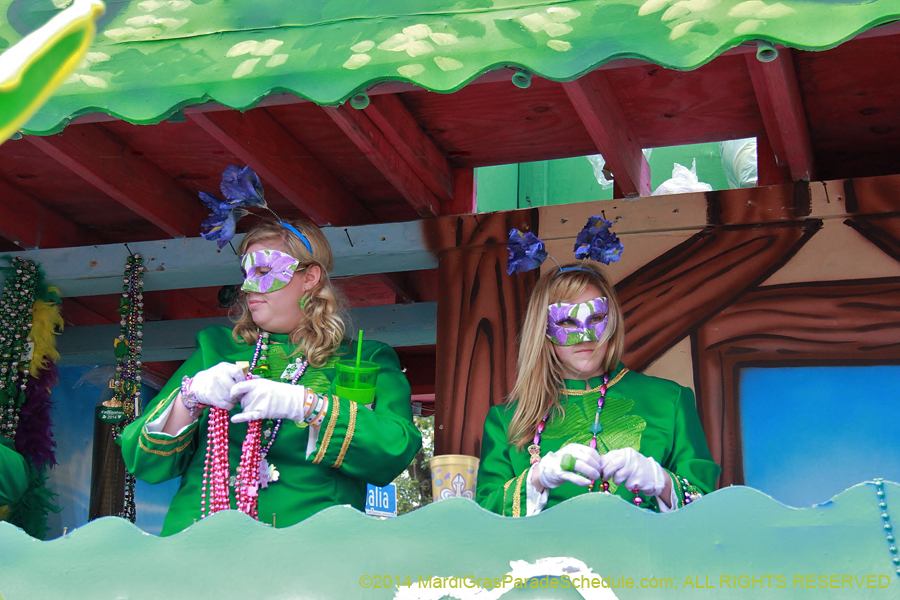 2014-Krewe-of-Iris-11521