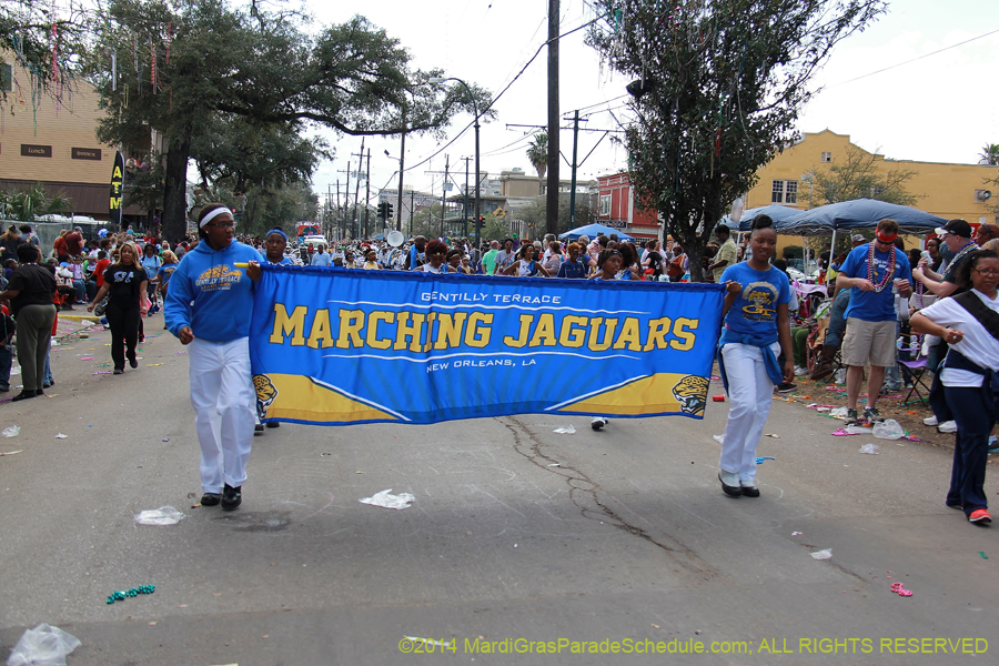 2014-Krewe-of-Iris-11523