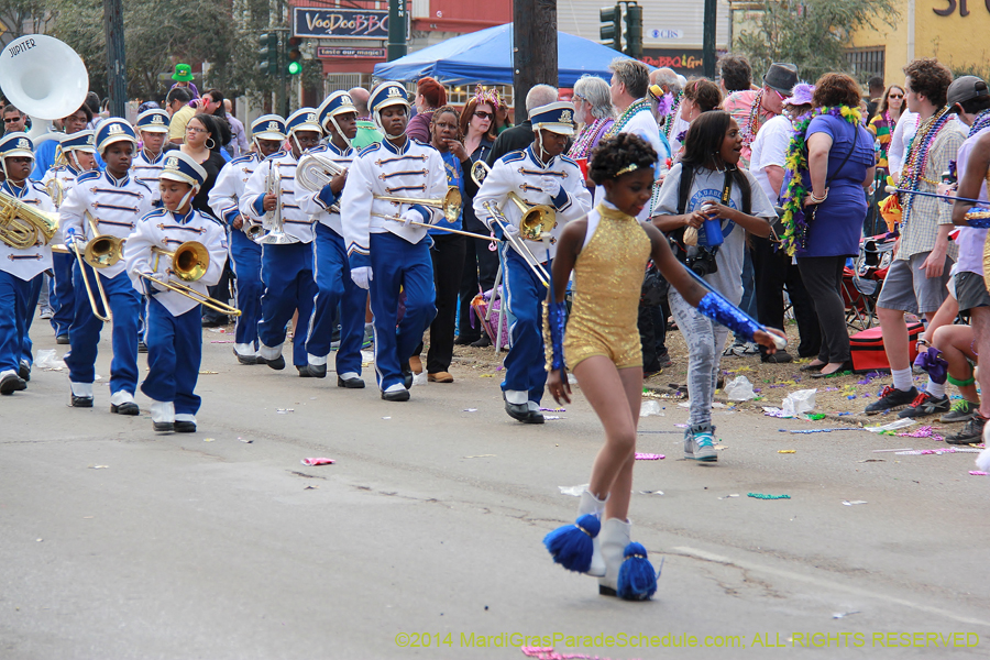 2014-Krewe-of-Iris-11524