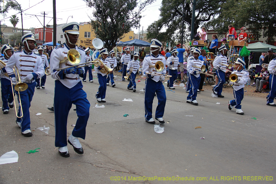 2014-Krewe-of-Iris-11525