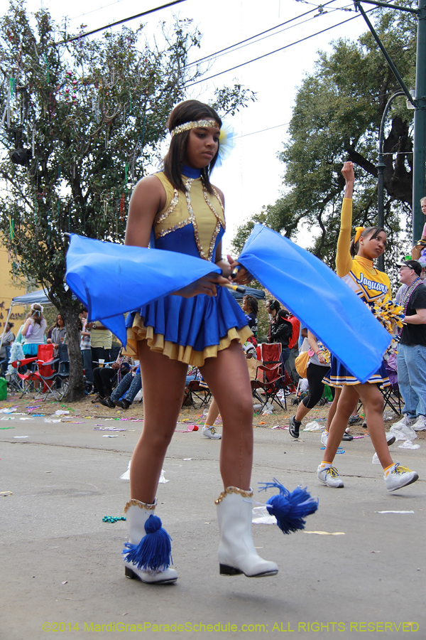 2014-Krewe-of-Iris-11528