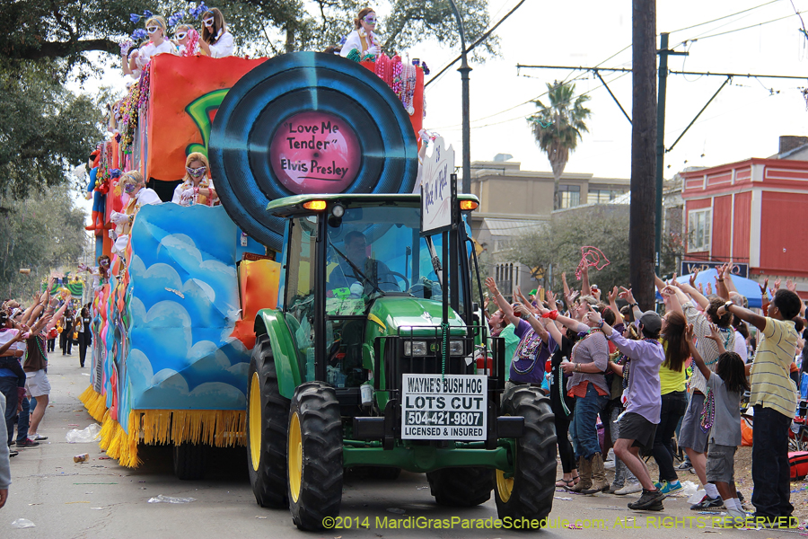 2014-Krewe-of-Iris-11530