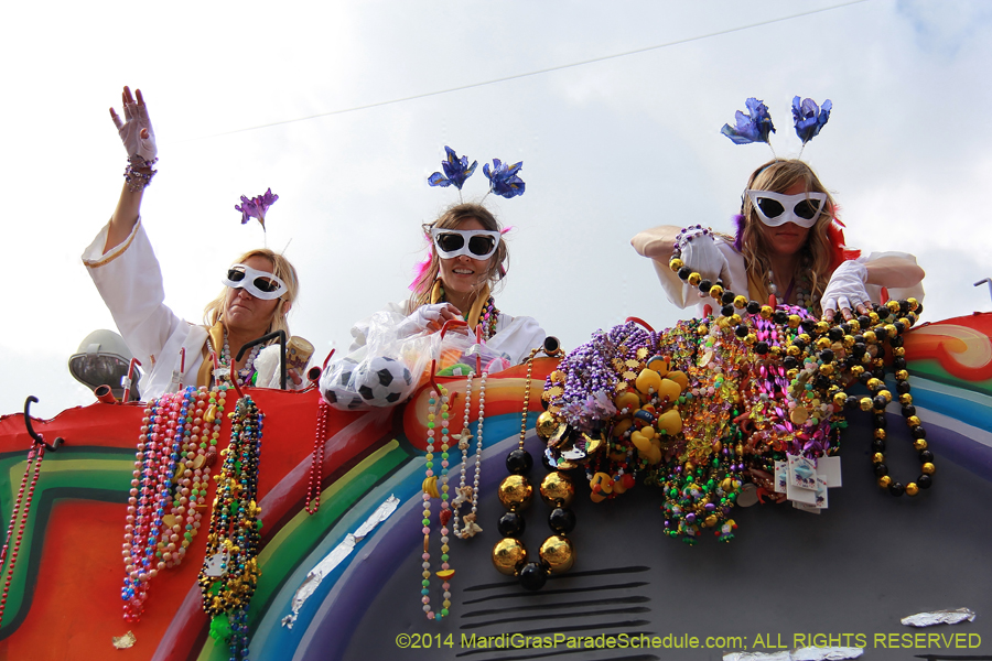 2014-Krewe-of-Iris-11536