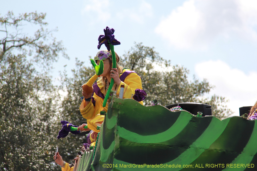 2014-Krewe-of-Iris-11549