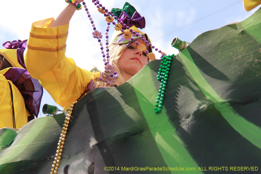 2014-Krewe-of-Iris-11552