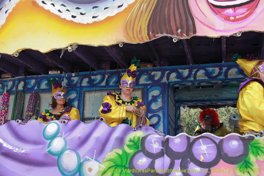 2014-Krewe-of-Iris-11555