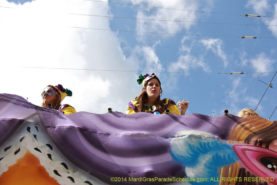 2014-Krewe-of-Iris-11556