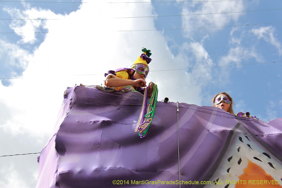 2014-Krewe-of-Iris-11557