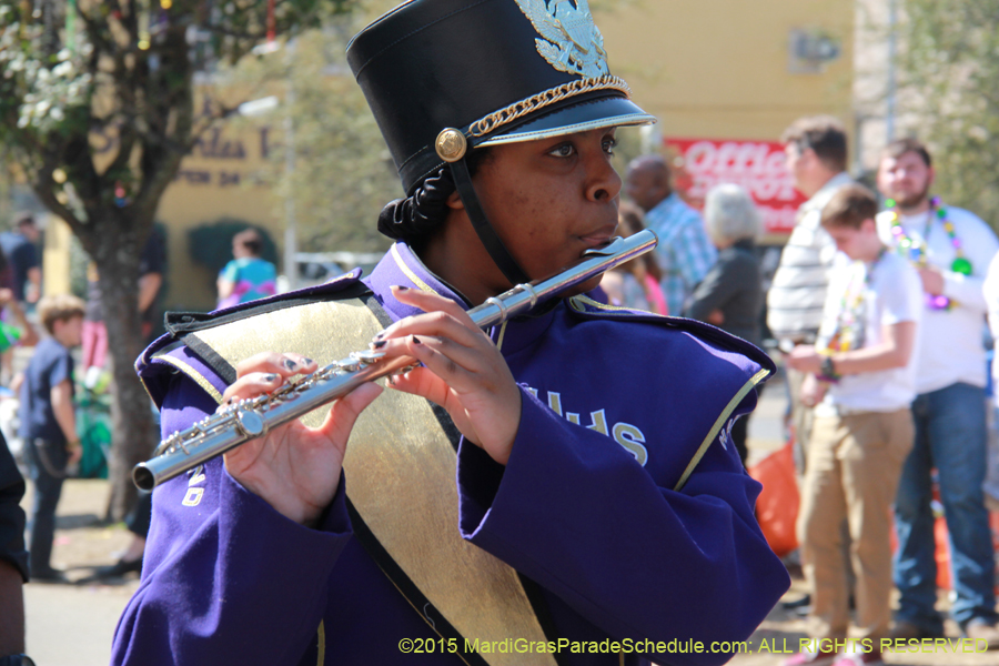 Krewe-of-Iris-2015-17138