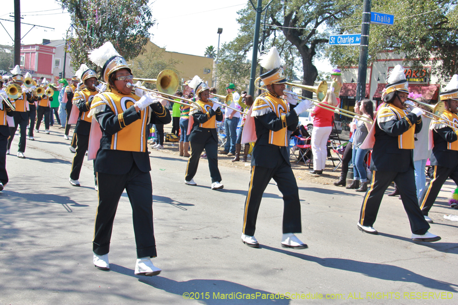 Krewe-of-Iris-2015-17161