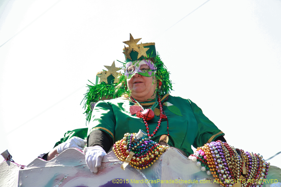 Krewe-of-Iris-2015-17165