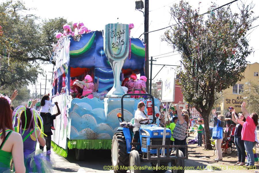 Krewe-of-Iris-2015-17172