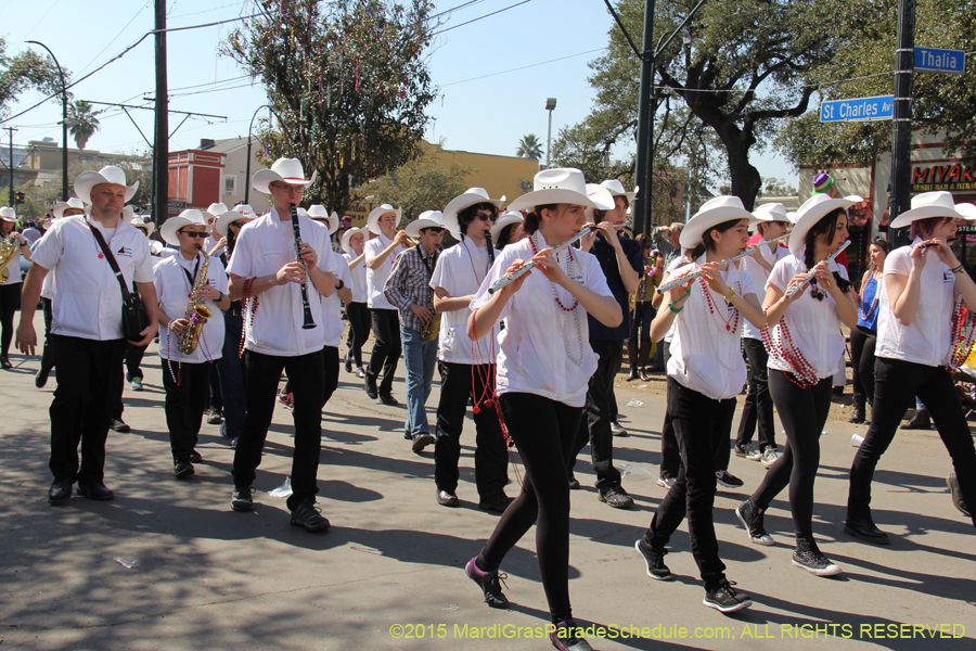 Krewe-of-Iris-2015-17179