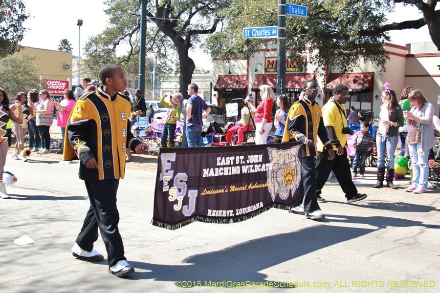 Krewe-of-Iris-2015-17186