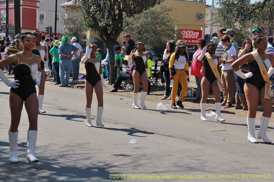 Krewe-of-Iris-2015-17187