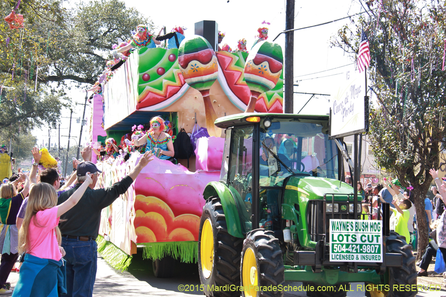 Krewe-of-Iris-2015-17189