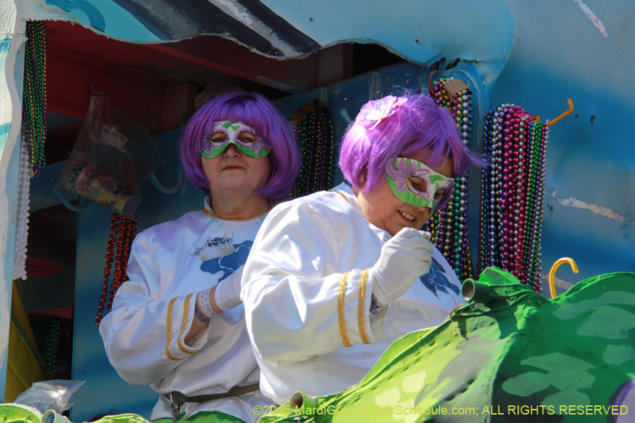 Krewe-of-Iris-2015-17237