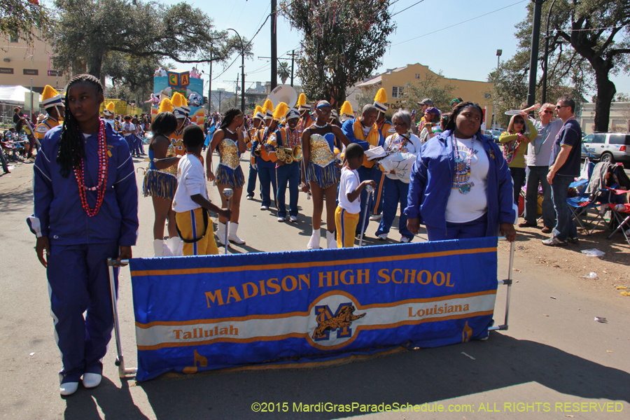 Krewe-of-Iris-2015-17269