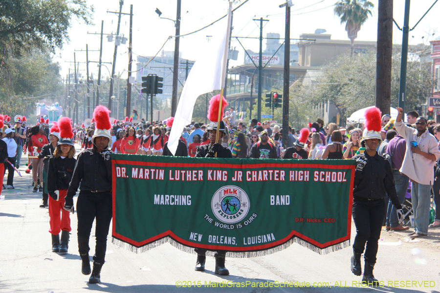 Krewe-of-Iris-2015-17279