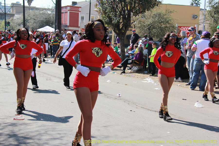 Krewe-of-Iris-2015-17280