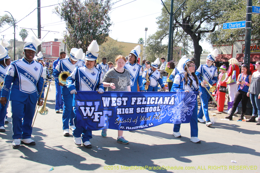 Krewe-of-Iris-2015-17289