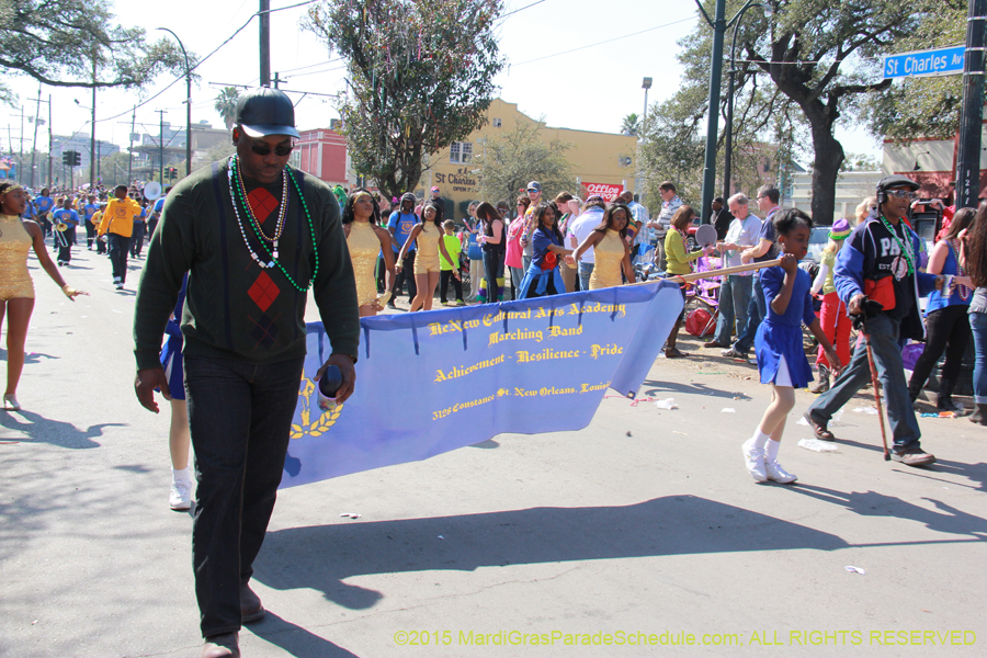 Krewe-of-Iris-2015-17297