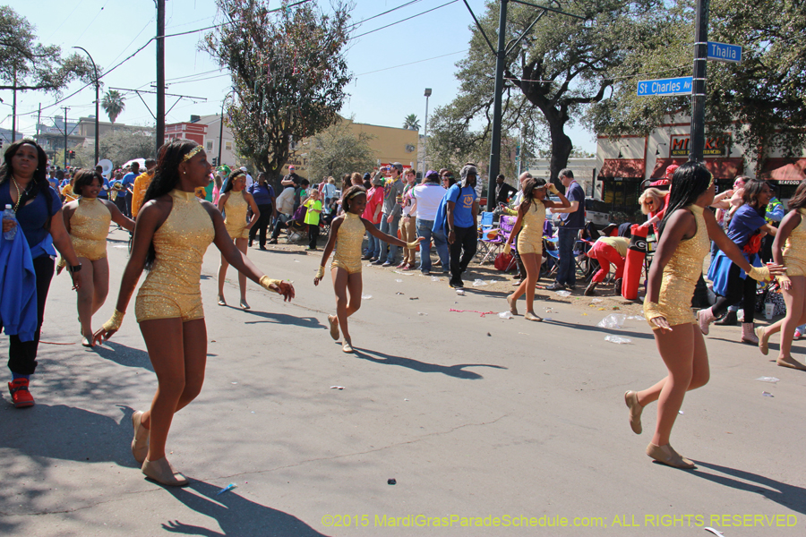 Krewe-of-Iris-2015-17298