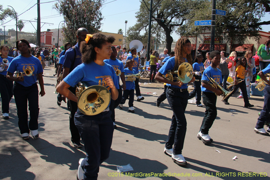 Krewe-of-Iris-2015-17299