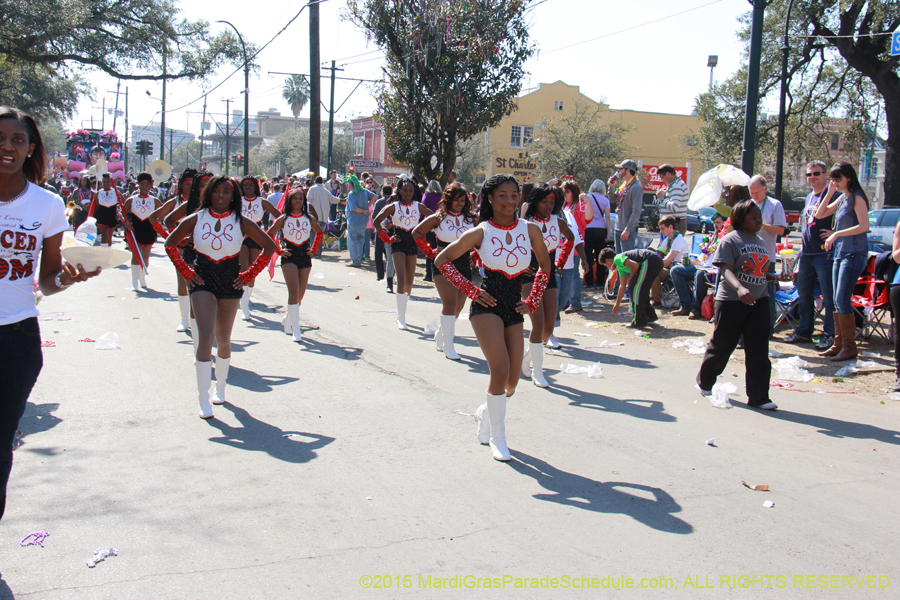 Krewe-of-Iris-2015-17337