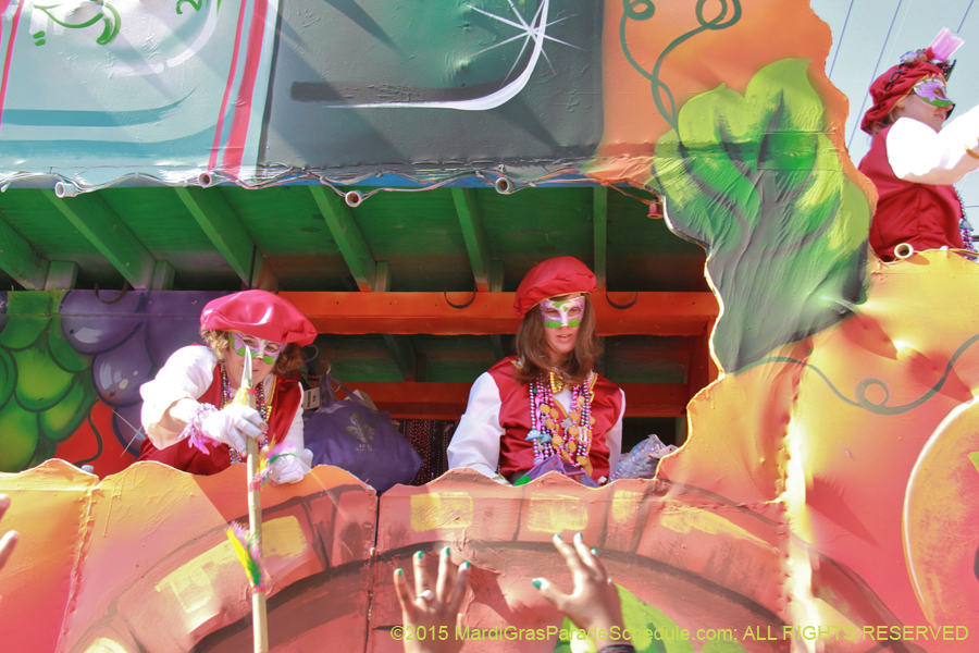 Krewe-of-Iris-2015-17353