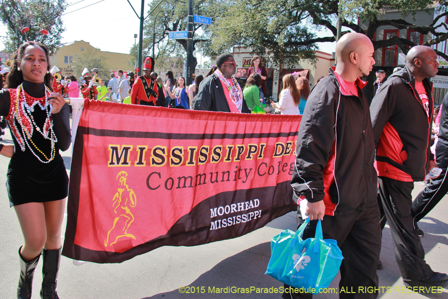 Krewe-of-Iris-2015-17356