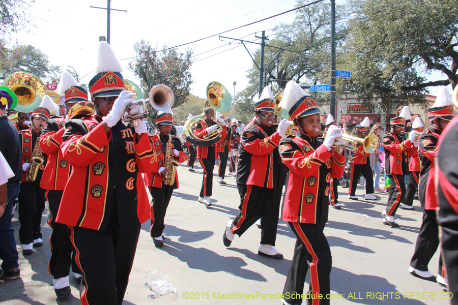 Krewe-of-Iris-2015-17358