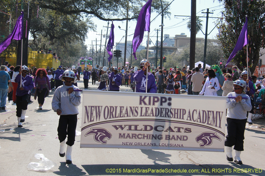 Krewe-of-Iris-2015-17380