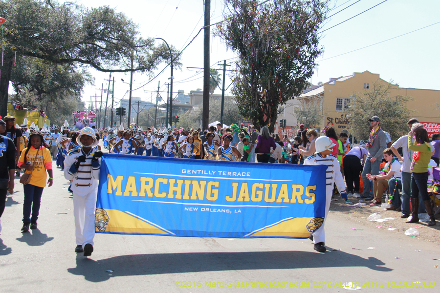 Krewe-of-Iris-2015-17394