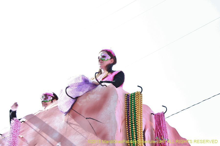 Krewe-of-Iris-2015-17405