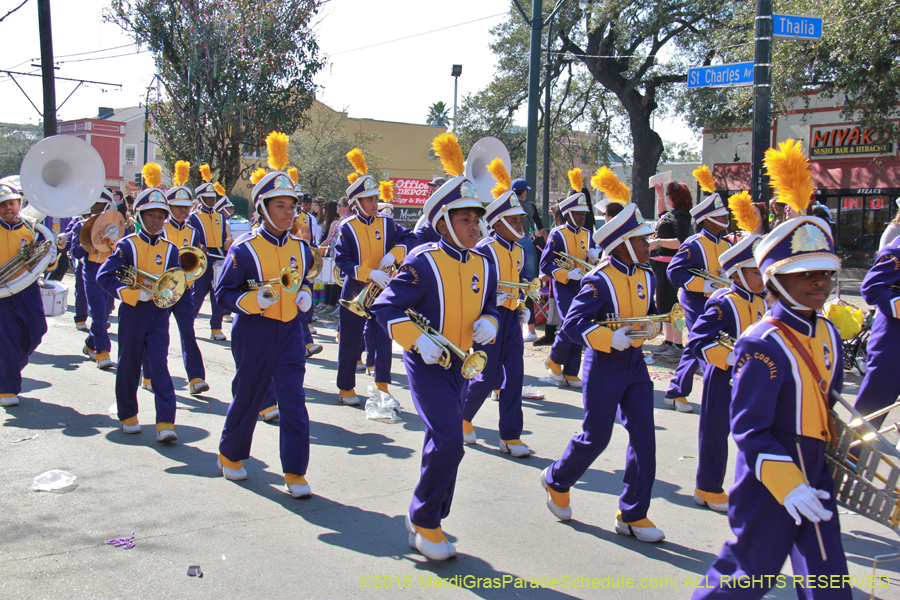 Krewe-of-Iris-2015-17442