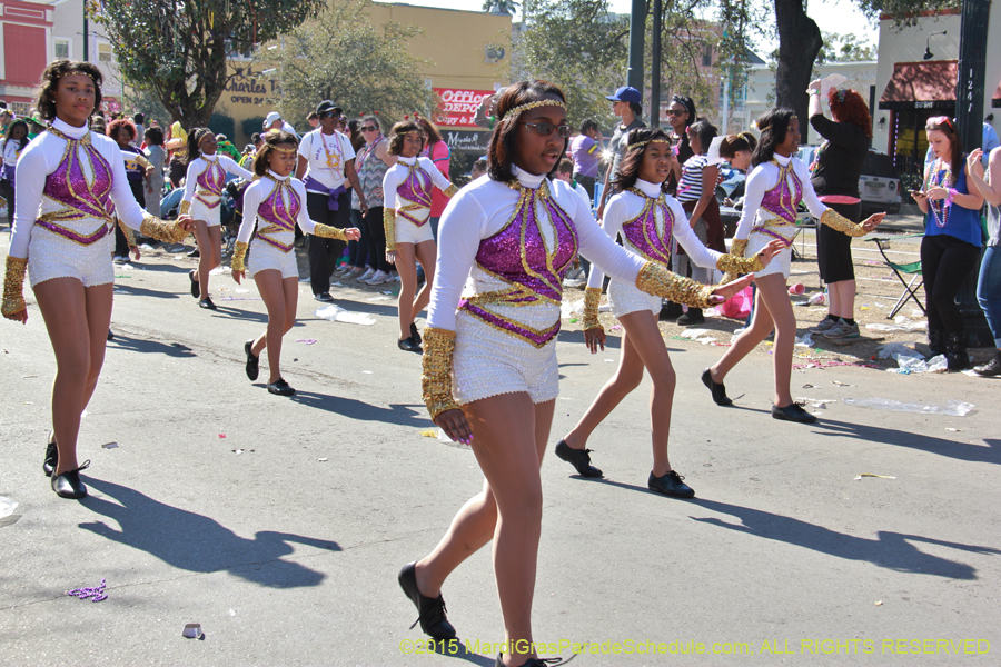 Krewe-of-Iris-2015-17443