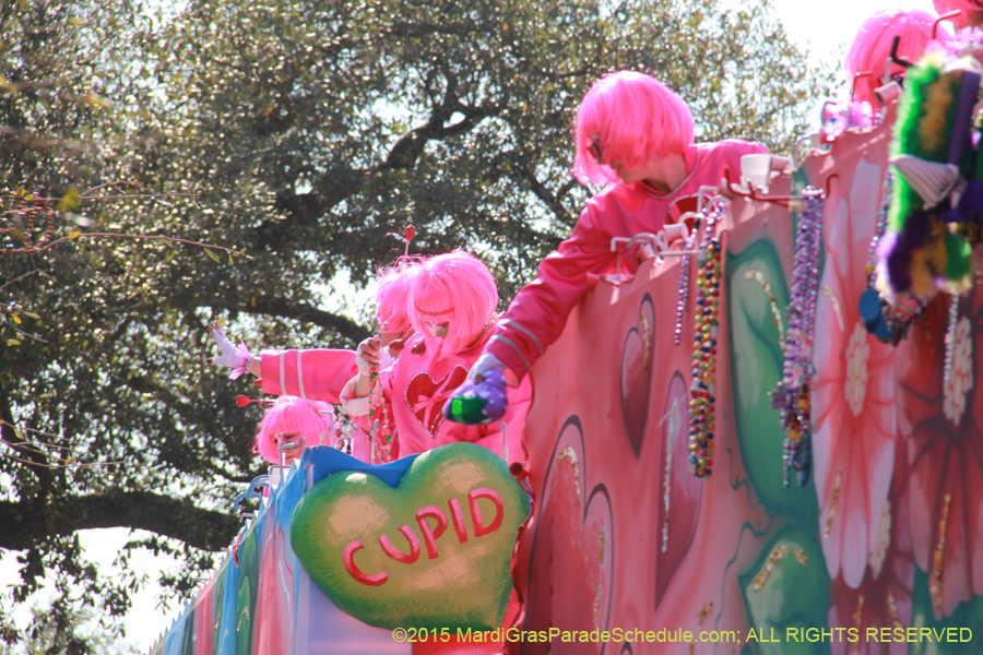 Krewe-of-Iris-2015-17448