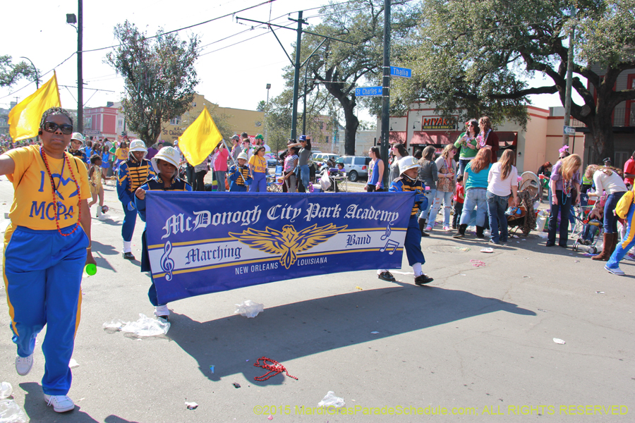 Krewe-of-Iris-2015-17473