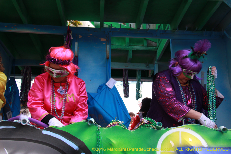 2016-le-Krewe-of-Iris-009286