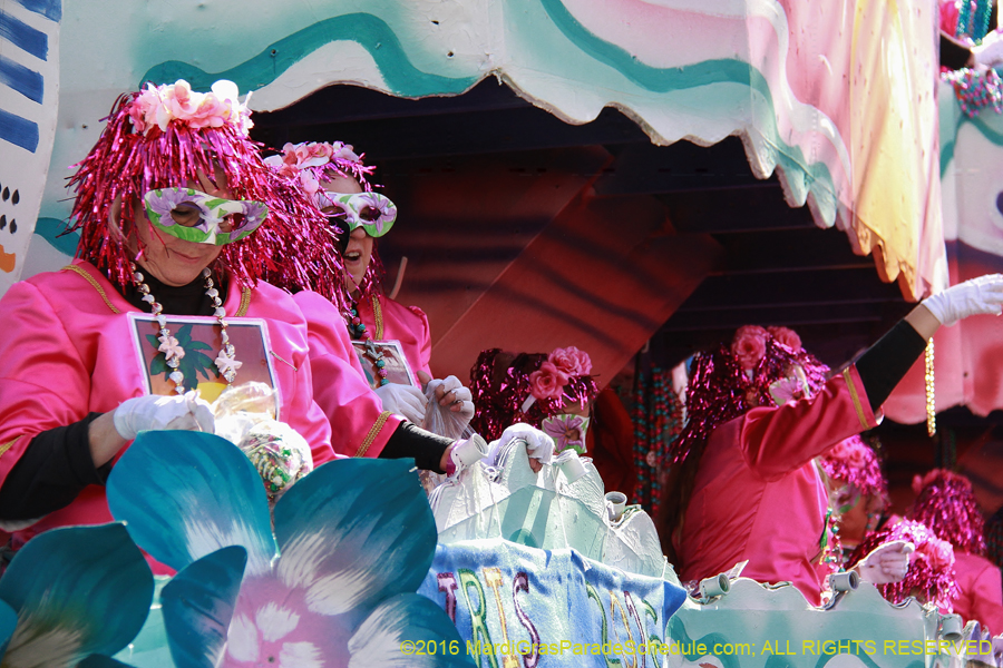 2016-le-Krewe-of-Iris-009325