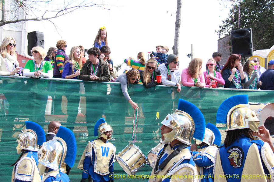 2016-le-Krewe-of-Iris-009338