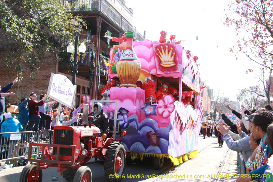 2016-le-Krewe-of-Iris-009415