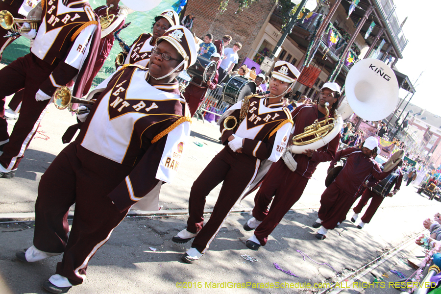 2016-le-Krewe-of-Iris-009423