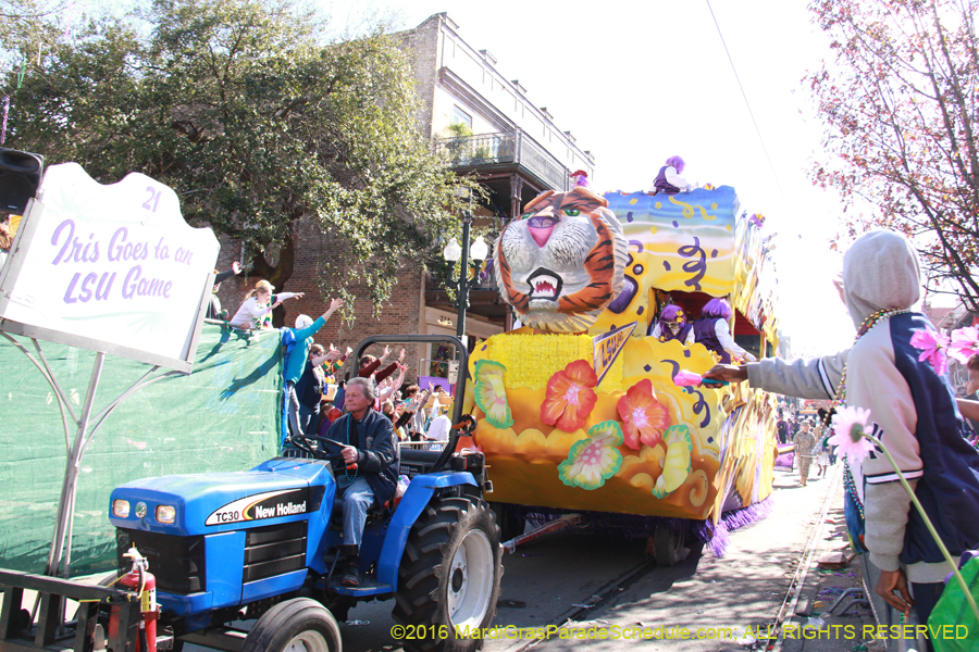 2016-le-Krewe-of-Iris-009488