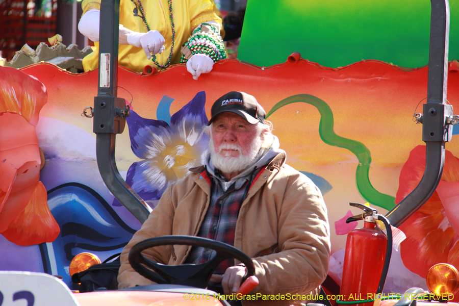 2016-le-Krewe-of-Iris-009500