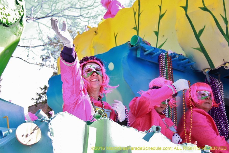 2016-le-Krewe-of-Iris-009531