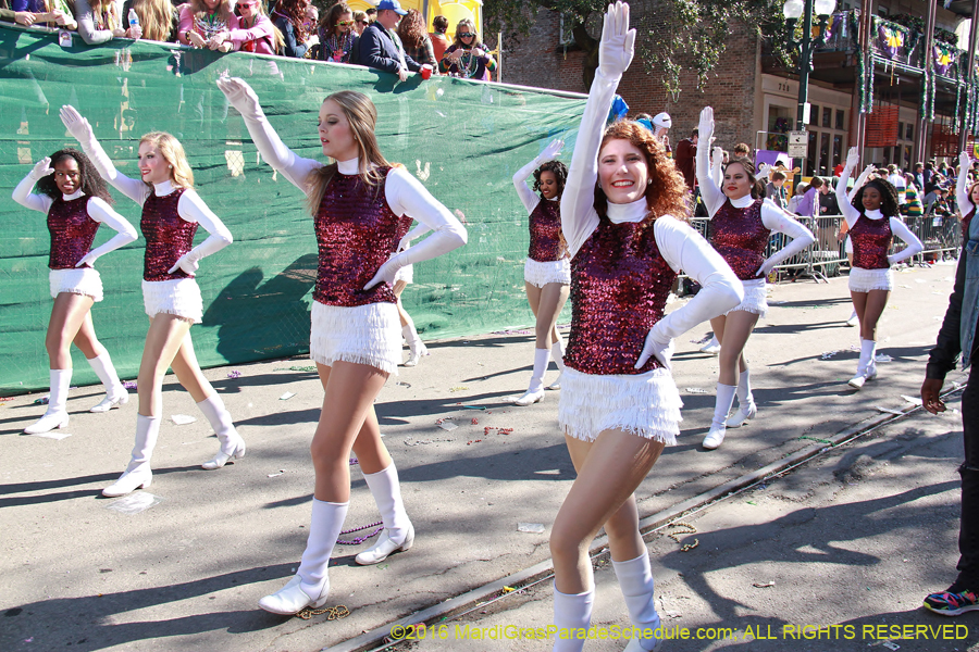 2016-le-Krewe-of-Iris-009540