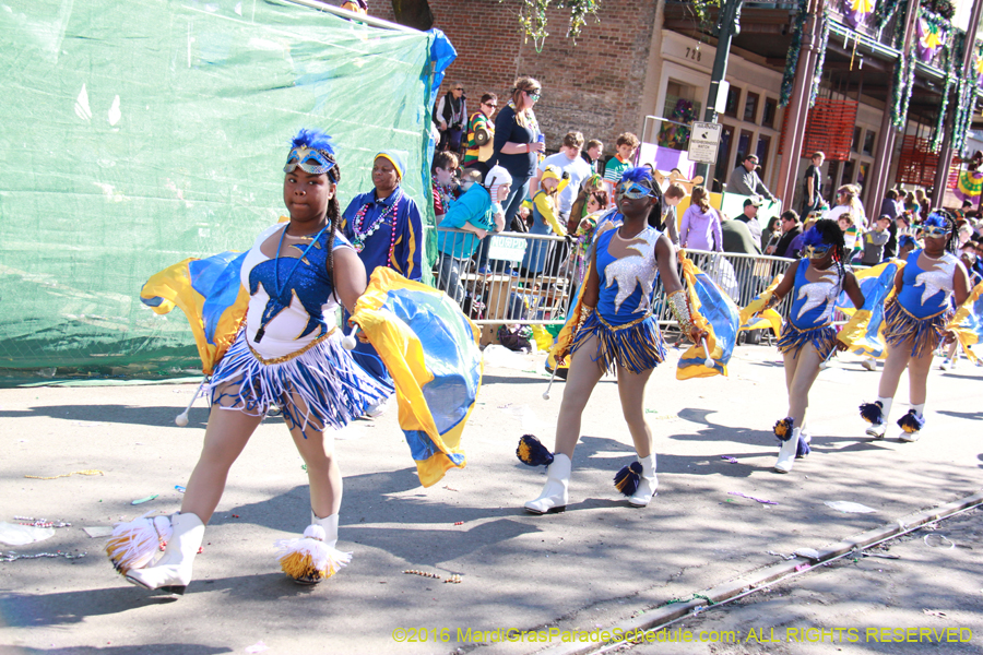 2016-le-Krewe-of-Iris-009578