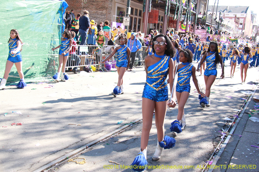 2016-le-Krewe-of-Iris-009589